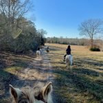 Horseback Riders look out over the meadow.