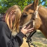 A guest hugs a horse 